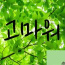 토다기 이미지