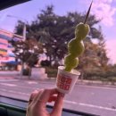 더 대단한커피&대단한탕후루 순천신대점 | 순천 탕후루 맛집 신대지구 대단한 탕후루