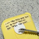 (주)이야소프트 | 생후 32주 , 나의 체리 ᰔ