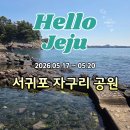 (유)골드오션 - 9356 | 서귀포 자구리공원 현지인이 찾는 발 담그기 좋은 제주 바다
