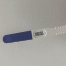 초경추어탕 | 준비하자마자 시작되어버린 임신일기 [1주-~8주]
