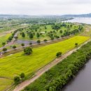 대신지구진입로 이미지