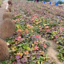 아이와농장 이미지