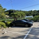 참나무 도토리 막국수 | 청주맛집 참나무 도토리 막국수 내돈내산 솔직후기