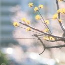 왕바위길 이미지