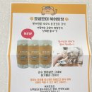 진영냥이 이미지