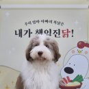 하울팟 위례점 이미지