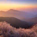 한국압화박물관 이미지