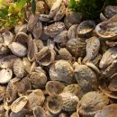 메디온약국 이미지