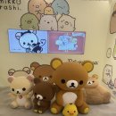 행복에코플러스 | [트랜드 LAB] 리락쿠마 &amp; 스미코구라시 플러스샵 홍대점 방문후기