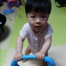 보조기나라 이미지