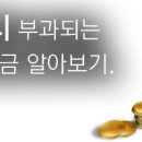 제세