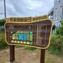 연꽃테마파크 Daum카페