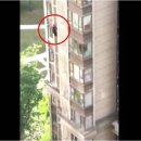 80대 치매 할머니, 아파트 14층서 외벽타고 탈출…왜 이미지