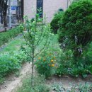 3.1운동비 이미지