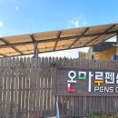 온마루 한옥풀빌라