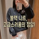 마시모 | 마시모두띠 울브이넥 니트 후기, 블랙 니트 코디까지 총정리
