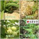와촌 농장 이미지