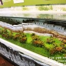 신대약수 이미지