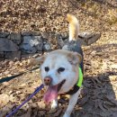 리버하우스 이미지