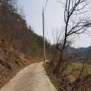 다래농장 이미지