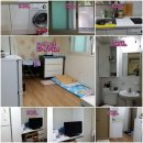 노원-공릉-3272 이미지