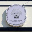 폴앤도기 이미지