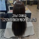 강남역 미용실 고아라헤어케어 강남점 무코타 클리닉 후기 머릿결 복구 성공