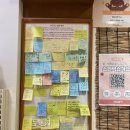 11545-10-24-32 | [서울/노원] 견생냥품 24시 무인펫샵 노원역점 멍빼로 내돈내산후기