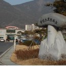 창녕스포츠파크 체육관 이미지