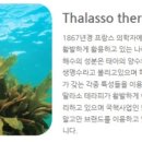빛예인 이미지