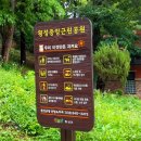 중앙근린공원(3.1공원) 이미지