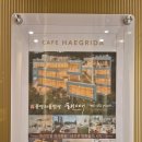 해그리다 이미지