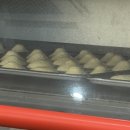 김해생명과학고등학교 이미지