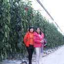 칠량농장 이미지