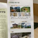 하동편백자연휴양림 이미지