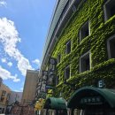 중앙노모당 | 일본 고교야구의 성지, 야구팬이라면 꼭 가봐야할 그곳, 고시엔(고시엔 스타디움투어 후기)