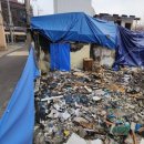 부평공원 이미지