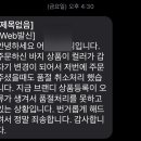 브랜디_카카오페이