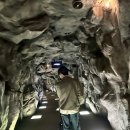 반디랜드 야영지 1 | 무주 반디랜드 무주 아이와 가볼만한곳 곤충박물관 수달 야외놀이터 5세 솔직후기