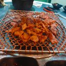 돼지전설 이미지