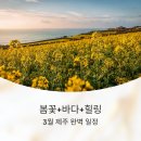 소리와 글로 피어나는 늘봄 | 봄꽃+바다+힐링, 3월 제주 완벽 일정 제안