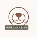 강아지탐험대동물미용업 | 대구 애견미용 반려동물 추천 정보 리뷰 가나디 강아지미용.호텔 반려동물 맞춤 케어 전문점