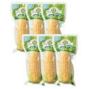 그린라이프 이미지