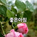 ♤마지막 10년을 함께♧ 이미지