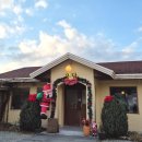 용담 | 대전 근교 드라이브 카페 세종 카페용담 후기 / 자몽히비스커스티, 아메리카노