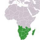 아프리카 이미지