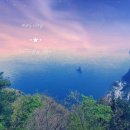 미리안나비 이미지