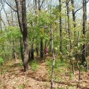 수원치재 이미지