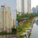 해솔공인중개사사무소 이미지